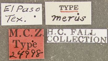 Media type: image;   Entomology 24998 Aspect: labels